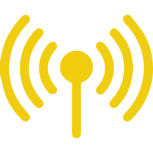 Wireless Industry